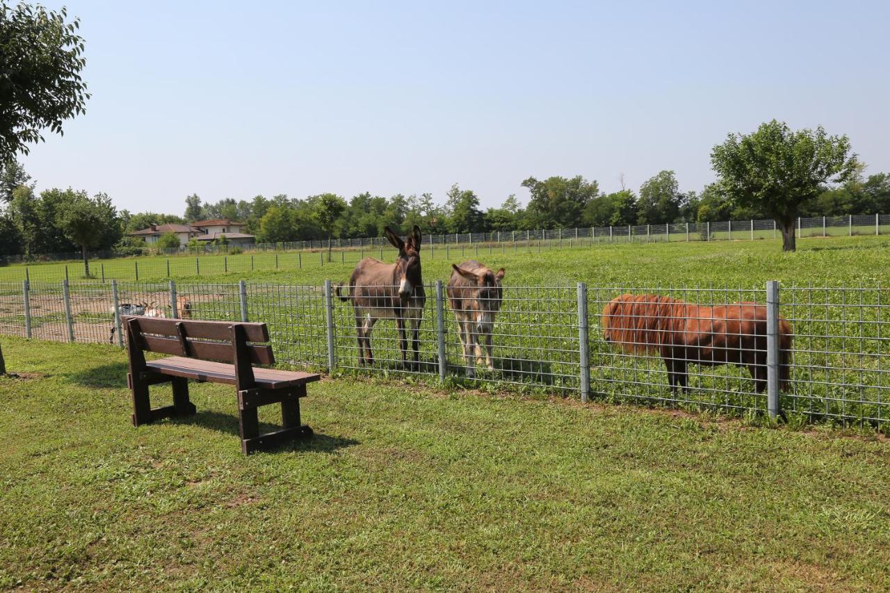 Azienda Agrituristica Ai Prai Castello Di Godego Zewnętrze zdjęcie