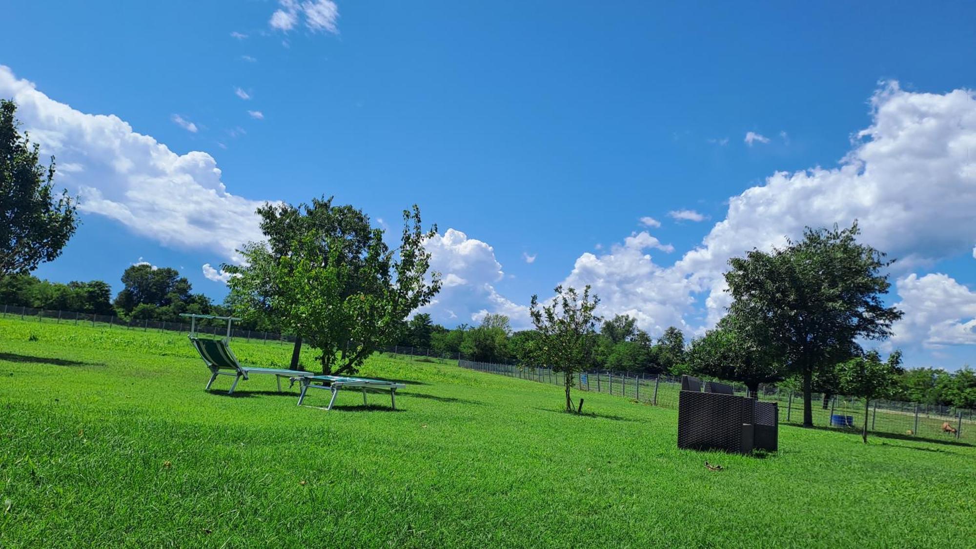 Azienda Agrituristica Ai Prai Castello Di Godego Zewnętrze zdjęcie